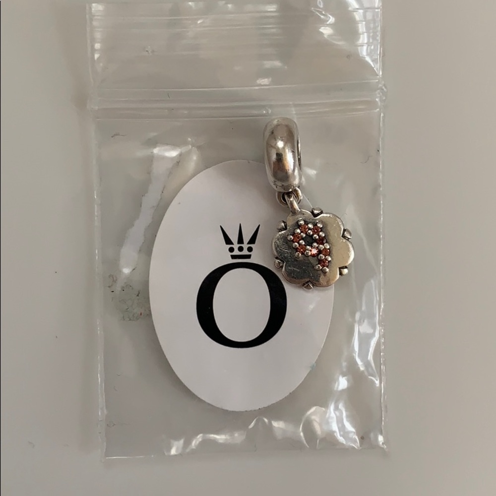 Pandora Charm